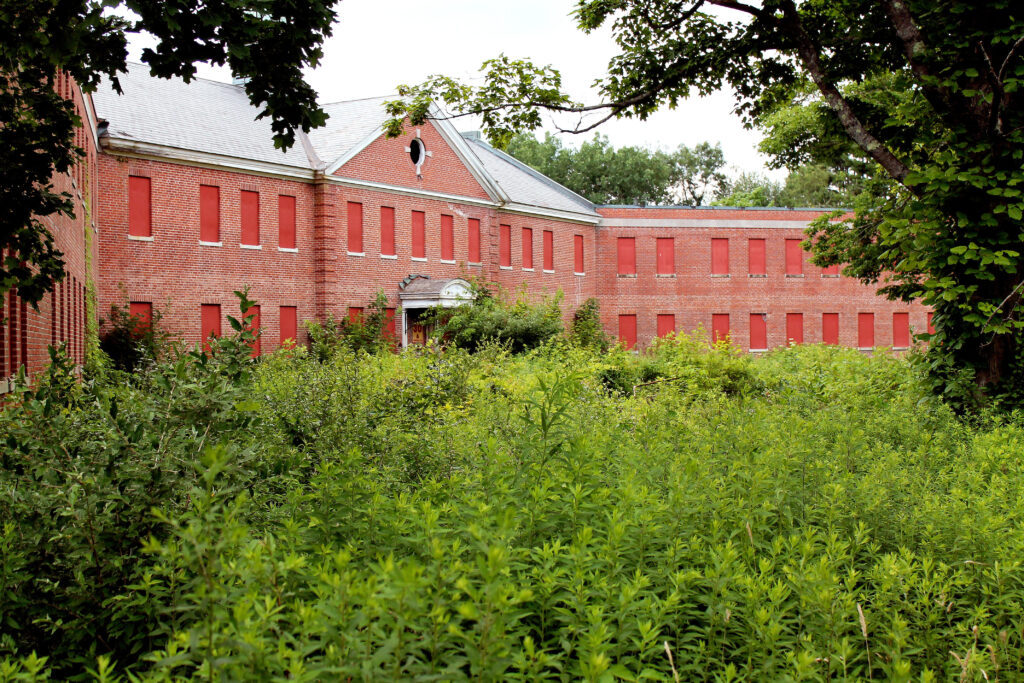 An abandoned brick building with red shutters at Belchertown State School in Massachusetts. Overgrown weeds surround the building and tree branches appear in the upper left and right corners of the frame.
